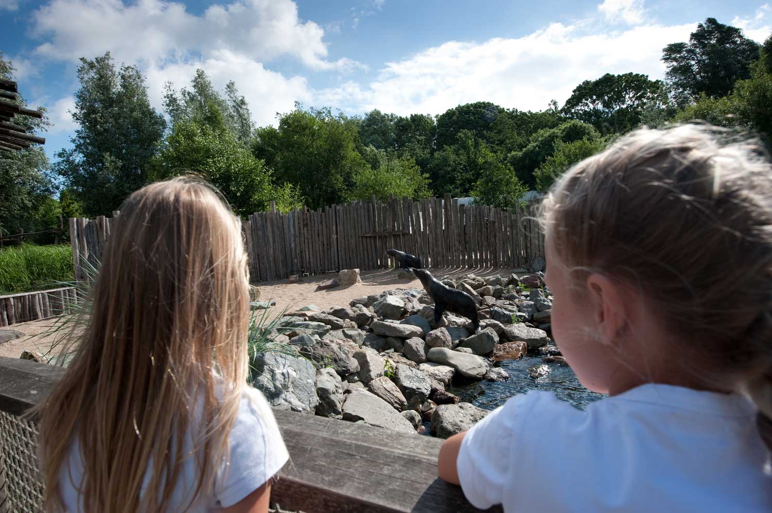 AquaZoo Friesland is de dierentuin van Friesland en binnen 20 minuten rijden vanaf Cleyn Alserd
