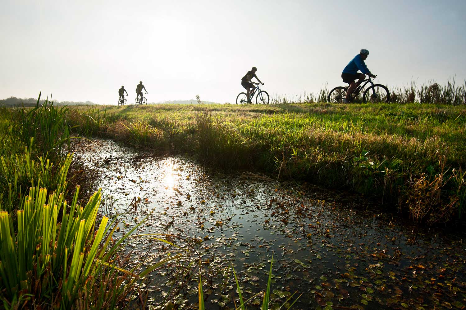 De omgeving van Cleyn Alserd leent zich perfect voor het maken van een fietstocht door de dorpjes en steden in Friesland